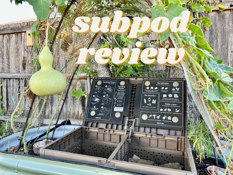 Subpod - Sustainably Amber